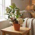 Flores artificiales de Skimmia japonica verdes, 45 cm, 2 unidades | Floristik24.es