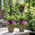 Maceta estilo rústico forestal Ø12,5cm H12cm 2uds | Floristik24.es