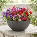 Macetero de plástico antracita Ø35cm H16,5cm | Floristik24.es