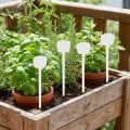 Etiqueta planta 32cm 10uds. | Floristik24.es