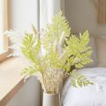 Helechos: Material natural preservado de alta calidad para proyectos de decoración duraderos, 40 cm, 10 piezas | Floristik24.es