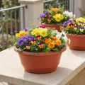 Macetero de plástico Ø27cm redondo terracota 5 uds | Floristik24.es