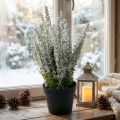 Erika escoba de brezo blanco planta artificial de brezo H26cm | Floristik24.es