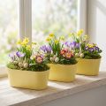 Cuenco para plantas cuenco decorativo ovalado plástico amarillo 27×11×10cm 3ud | Floristik24.es