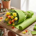 Papel crepé de floristería verde hierba 50x250cm | Floristik24.es