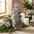 Piñas de pino azucarero