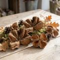 Loto de tierra Nature 50 piezas | Floristik24.es