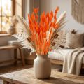Cola de liebre naranja seca para decoración, 50-60 cm, 50 g - Lagurus aterciopelado para decoración de mesas y manualidades | Floristik24.es