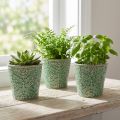 Jardinera cerámica craquelada esmaltada verde Ø11cm H11cm 3ud | Floristik24.es
