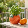 Jarrón decorativo mediterráneo naranja macetero de cerámica Ø9cm | Floristik24.es