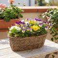 Cesta ovalada para plantar, diseño de enredadera, bandeja de plantación natural, 30 cm de largo. | Floristik24.es