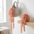 Sedum 'Rubin' planta colgante – suculenta decorativa, de fácil cuidado 43cm 3 uds. | Floristik24.es