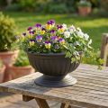 Cuenco con base antracita Ø30cm | Floristik24.es