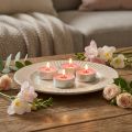 Velas perfumadas fresa, aroma candelita, vela perfumada ambiente Ø3,5cm H1,5cm 18 piezas | Floristik24.es