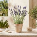 Arbusto de lavanda artificial violeta 51cm | Floristik24.es