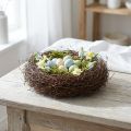 Material vegetal de la vid Mühlenbeckia, aprox. 1 kg, natural. | Floristik24.es