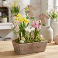 Plug floral conejito de madera 9cm 12uds | Floristik24.es