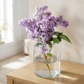 Jarrón de cristal transparente cilíndrico Ø12cm H20cm | Floristik24.es