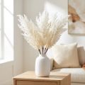 Hierba blanca de la Pampa, hierbas secas artificiales, plantas artificiales | Floristik24.es