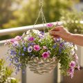 Cesta de plantas para colgar, cesta de flores trenzada blanco, gris, natural H16cm Ø30cm | Floristik24.es
