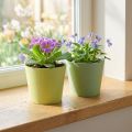 Maceta de papel, maceta mini, macetero azul/verde Ø9cm H7.5cm 4pcs | Floristik24.es