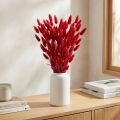 Hierba de cola de conejo (Lagurus) roja seca, 60 cm, 50 g, decoración de flores secas | Floristik24.es