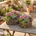 Jardinera macetero madera corteza L23/29,5cm juego de 2 | Floristik24.es