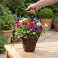 Cesta con asa, cesta rústica para plantar Ø24×H18cm | Floristik24.es