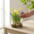 Cuenco de cristal cuenco decorativo cuenco flotante de cristal Ø16cm H8cm | Floristik24.es
