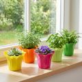 Jardinera para plantas en maceta, de colores surtidos. Ø10,5cm 10 piezas | Floristik24.es