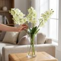 Orquidea verde claro 56cm 6uds | Floristik24.es