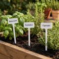 Etiqueta de planta para cambiar 32cm 10uds | Floristik24.es