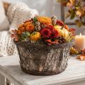 Maceta de corteza de abedul con enredaderas, redonda, Ø33cm, H16cm, decoración | Floristik24.es