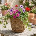 Macetero de enredadera tipo cesta, Ø25cm H22.5cm, macetero natural | Floristik24.es