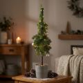 Abeto puntiagudo en maceta árbol de Navidad artificial Ø12cm H70cm | Floristik24.es