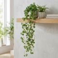 Plantas colgantes artificiales Echeveria en verde (12 cm de ancho y 50 cm de largo) | Floristik24.es