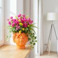 Busto de planta con cabeza de planta, maceta naranja, 13,5 x 13 x 14 cm | Floristik24.es