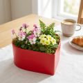 Planta romántica corazón cuenco para plantas corazón rojo 15×15×7cm 3ud | Floristik24.es