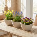 Cuenco decorativo barco planta plástico beige 20×9cm H12cm 3ud | Floristik24.es