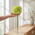 Cebolla ornamental artificial flor verde Allium Ø18cm 90cm | Floristik24.es