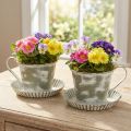 Taza decorativa de metal blanco lavado antiguo Ø9cm H8cm 2uds | Floristik24.es
