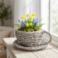 Taza de té de material natural con encanto rústico para decoración interior exclusiva 13cm | Floristik24.es