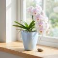 Macetero orquídea brillante Ø12,5cm blanco 1ud | Floristik24.es