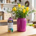 Belton free pintura al agua rosa tráfico violeta alto brillo spray 400ml | Floristik24.es