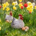 Figura decorativa cerámica decorativa gallina divertida Pascua 16×12×12cm | Floristik24.es