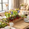Bandeja decorativa, bandeja oblonga de madera con asas de haya 50×19,5cm | Floristik24.es