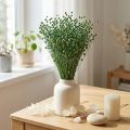 Hierba de lino seca, verde, 50-55 cm, decoración DIY | Floristik24.es