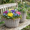 Cesta de mimbre vintage para plantas, Ø25 cm, H21 cm, gris/blanco, juego de 2 | Floristik24.es
