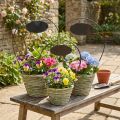 Cesta para flores con asa y cartel metálico, Ø23/20/17cm, juego de 3. | Floristik24.es