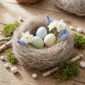 Material artesanal natural, fibras de palma, blanqueadas, 1 kg de palma Palmira para decoración y manualidades. | Floristik24.es